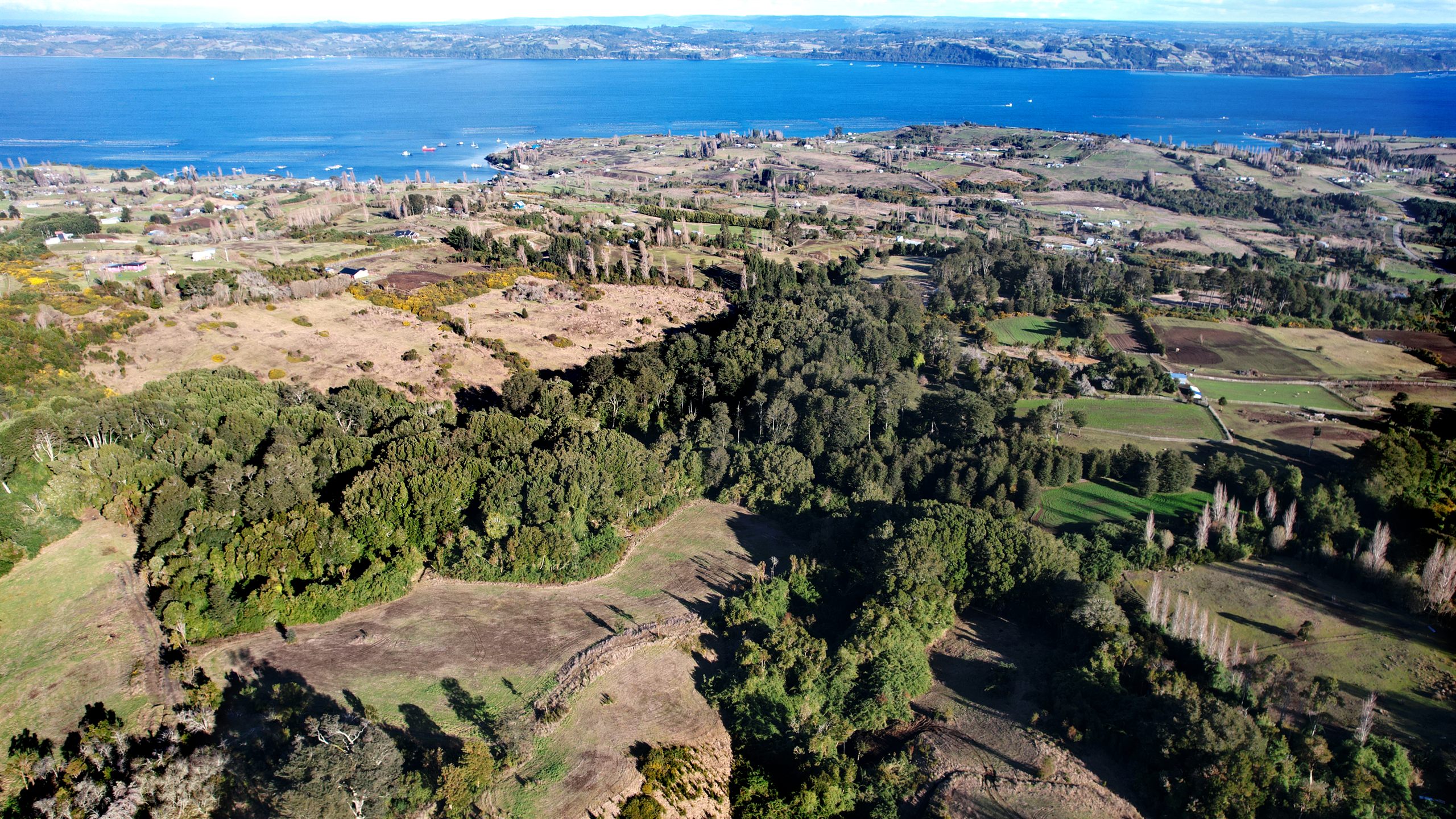 Bosques de Ducán — vista aérea, sector Ducán, comuna de Castro, Chiloé