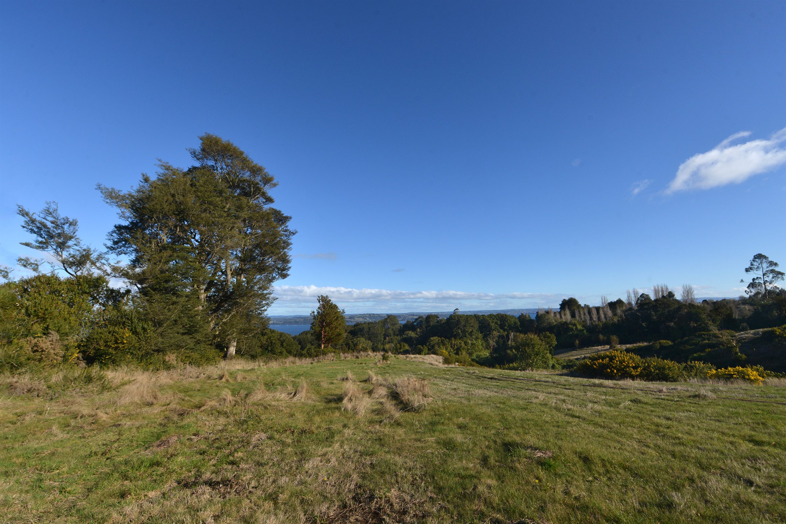 Bosques de Ducán — bosque nativo, sector Ducán, comuna de Castro, Chiloé